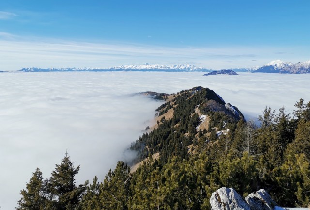 Gozd-Kriška gora-Tolsti vrh-2.2.2020 - foto