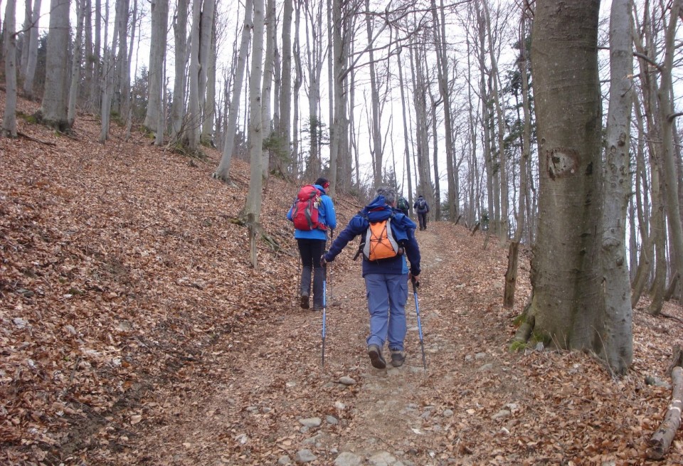 Sovodenj-Ermanovec-Bevkov vrh+Hleviše-9.2.20 - foto povečava