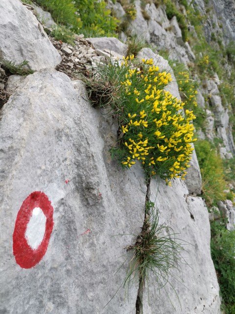 Gradiška tura-Abram-Nanos-10.5.2020 - foto