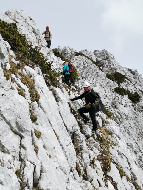 Ljubelj-Zelen.-Palec-Zelenjak-Vrtača-31.5.20 - foto