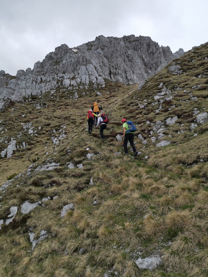 Ljubelj-Zelen.-Palec-Zelenjak-Vrtača-31.5.20 - foto povečava