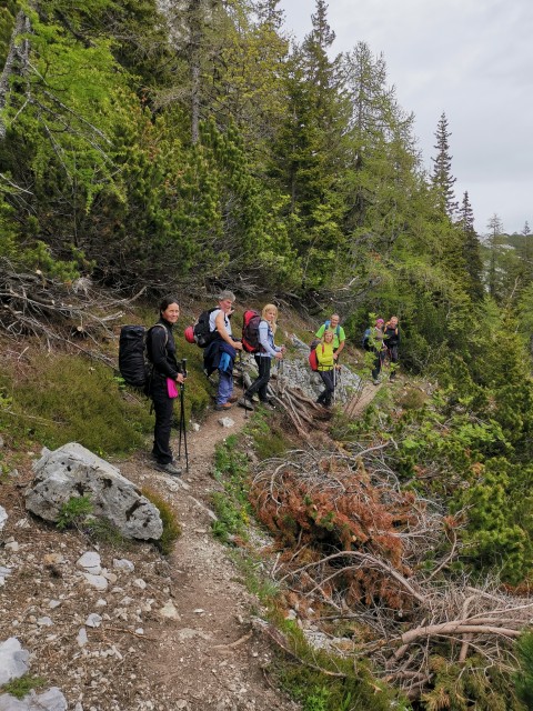 Ljubelj-Zelen.-Palec-Zelenjak-Vrtača-31.5.20 - foto