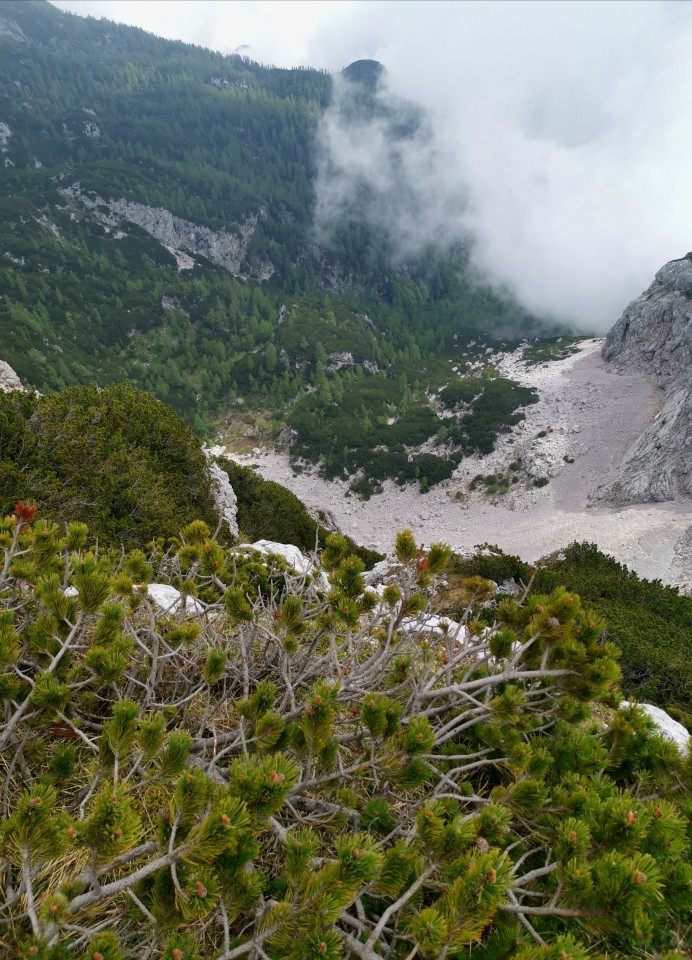 Kriška pl.-Vrh Korena-Kalški greben-7.6.2020 - foto povečava