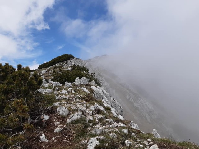 Kriška pl.-Vrh Korena-Kalški greben-7.6.2020 - foto