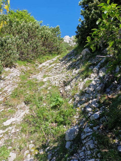 Jermanca-čez Kaptana-Brana-4.7.2020 - foto