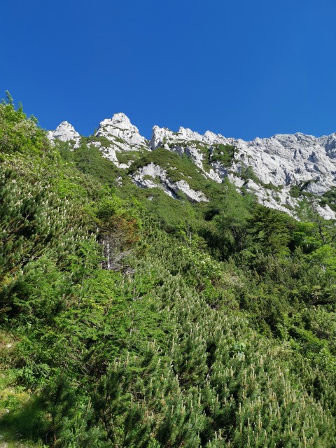 Jermanca-čez Kaptana-Brana-4.7.2020 - foto
