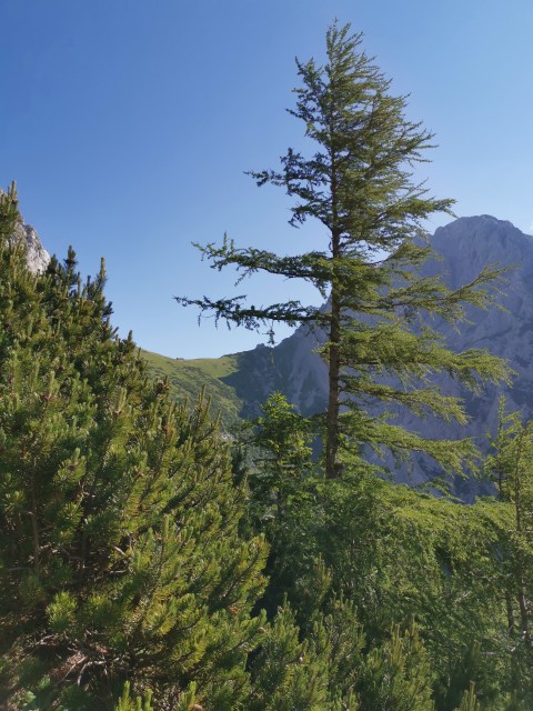 Jermanca-čez Kaptana-Brana-4.7.2020 - foto