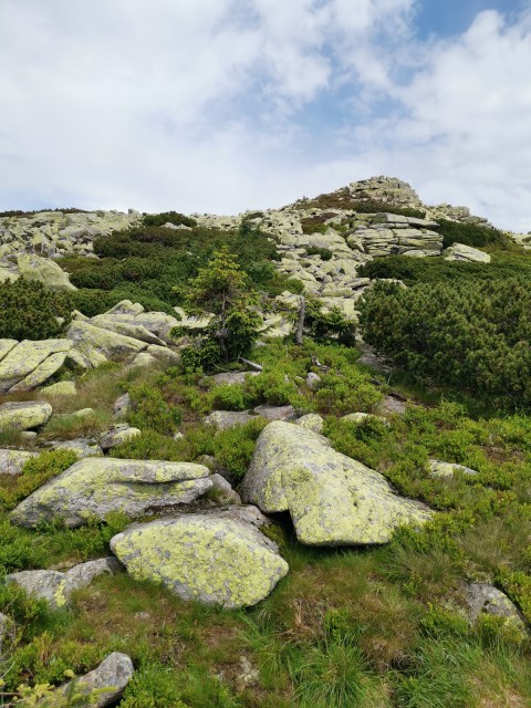 Planinarjenje po Češki - 10.7.2020 - foto