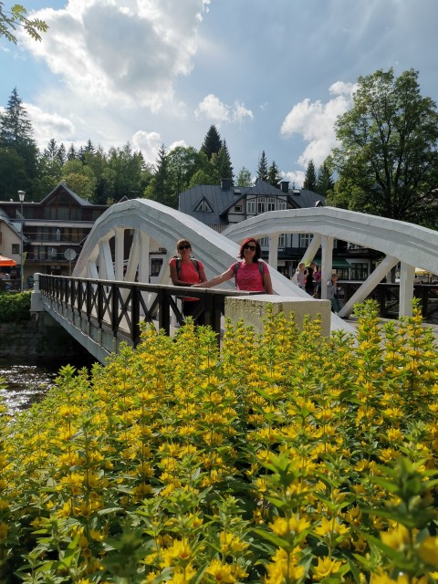Planinarjenje po Češki - 10.7.2020 - foto