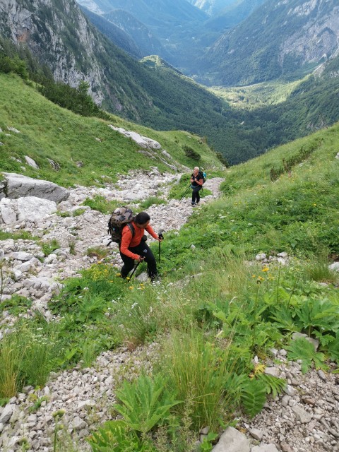 Žagana peč-Skuta-Kalška gora - 19.7.2020 - foto