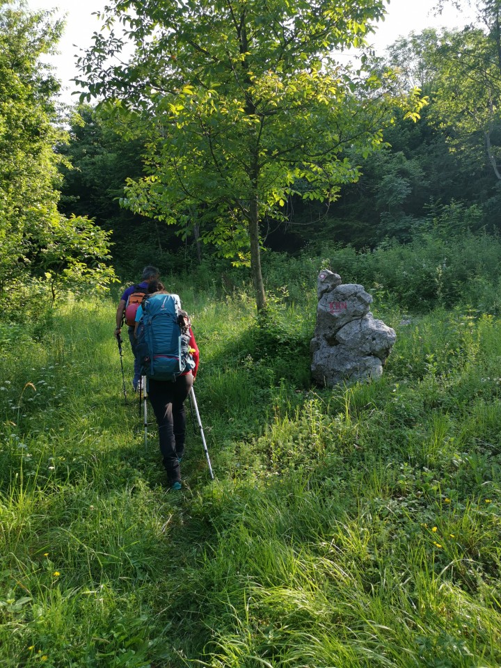 Drežnica-Pot Silva Korena-Krn-Drežn.-28.6.20 - foto povečava