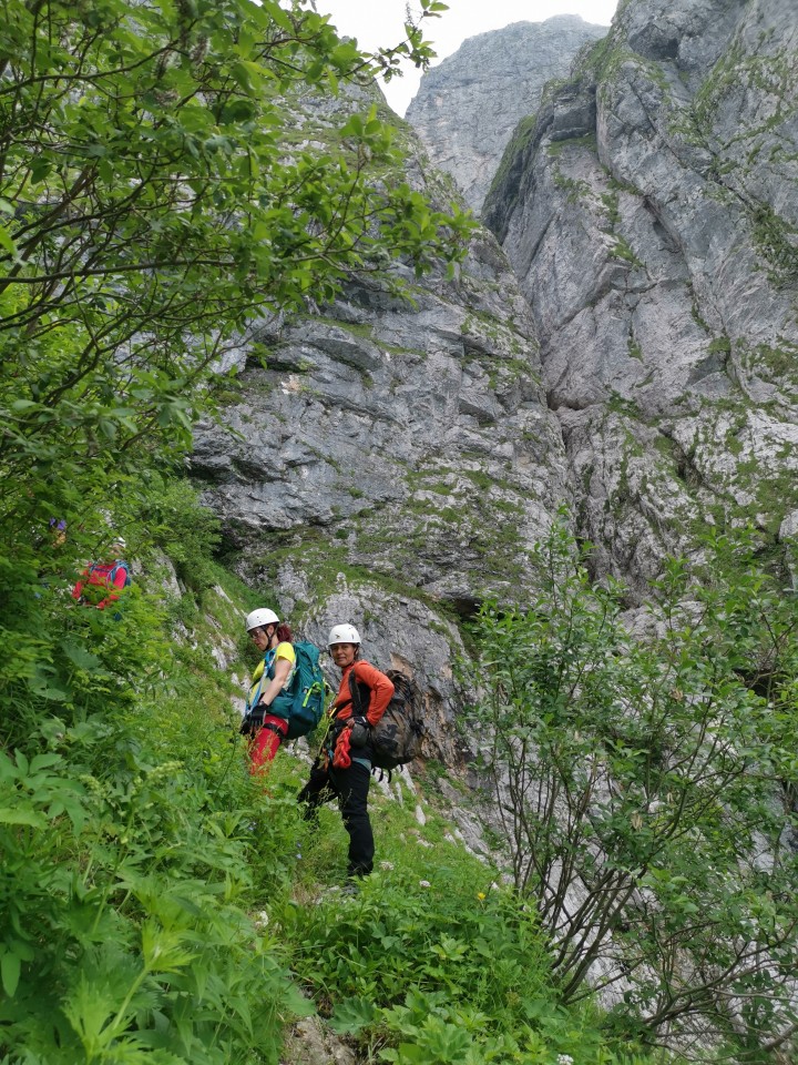 Drežnica-Pot Silva Korena-Krn-Drežn.-28.6.20 - foto povečava