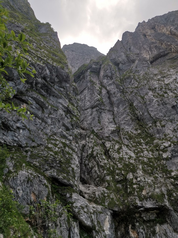 Drežnica-Pot Silva Korena-Krn-Drežn.-28.6.20 - foto povečava