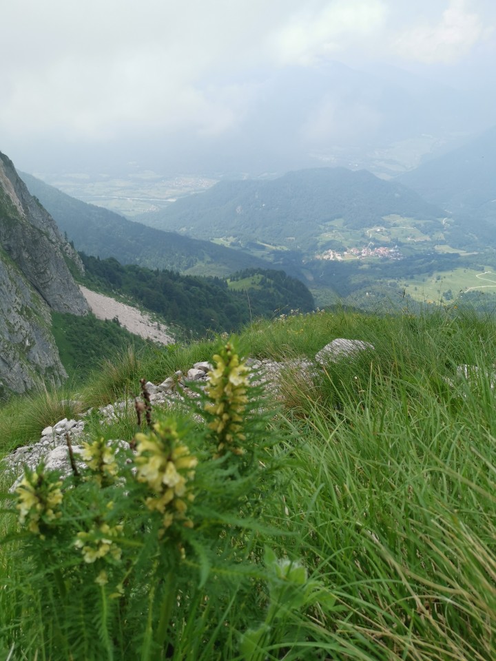 Drežnica-Pot Silva Korena-Krn-Drežn.-28.6.20 - foto povečava