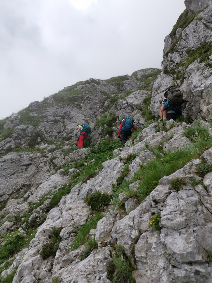 Drežnica-Pot Silva Korena-Krn-Drežn.-28.6.20 - foto povečava