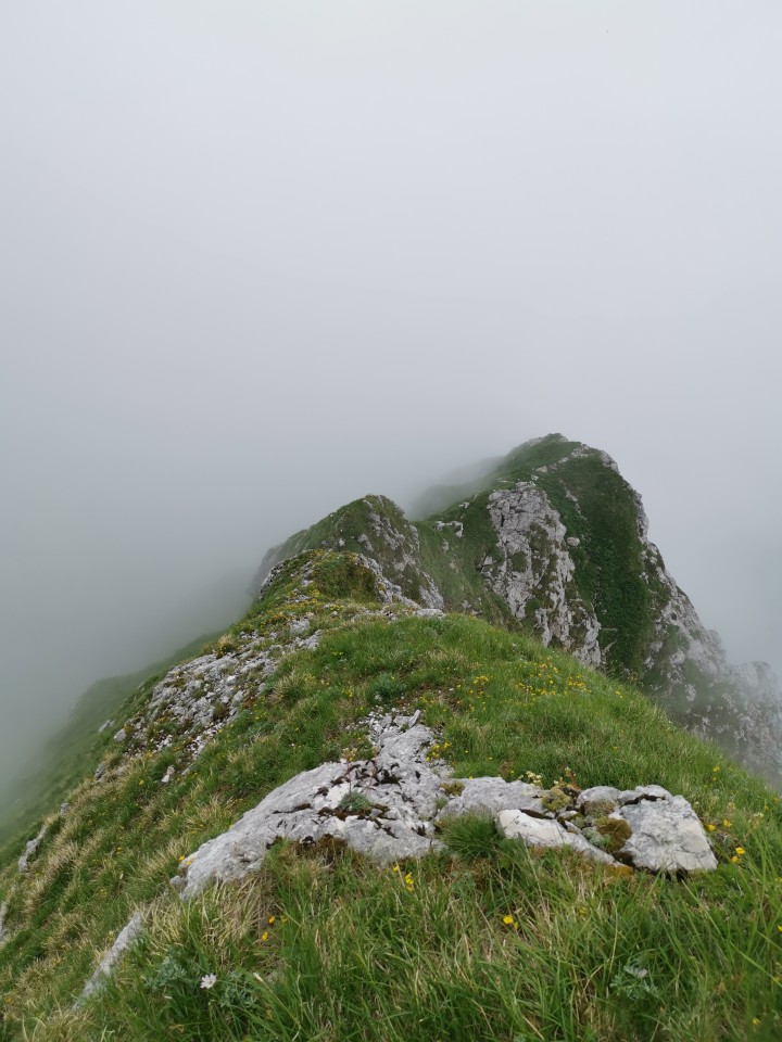 Drežnica-Pot Silva Korena-Krn-Drežn.-28.6.20 - foto povečava