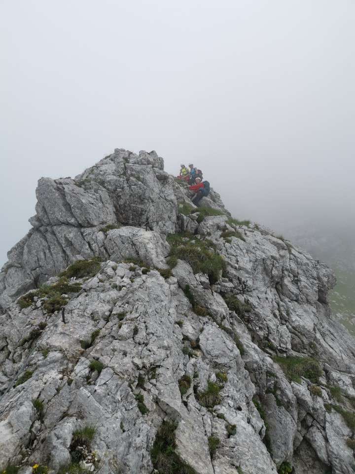 Drežnica-Pot Silva Korena-Krn-Drežn.-28.6.20 - foto povečava