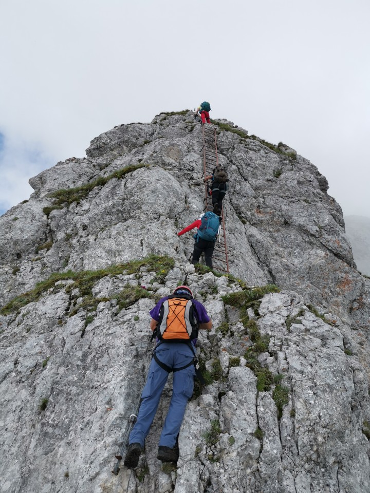 Drežnica-Pot Silva Korena-Krn-Drežn.-28.6.20 - foto povečava