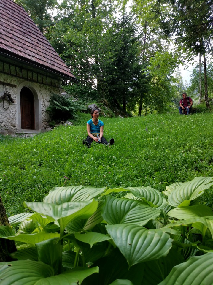 Drežnica-Pot Silva Korena-Krn-Drežn.-28.6.20 - foto povečava