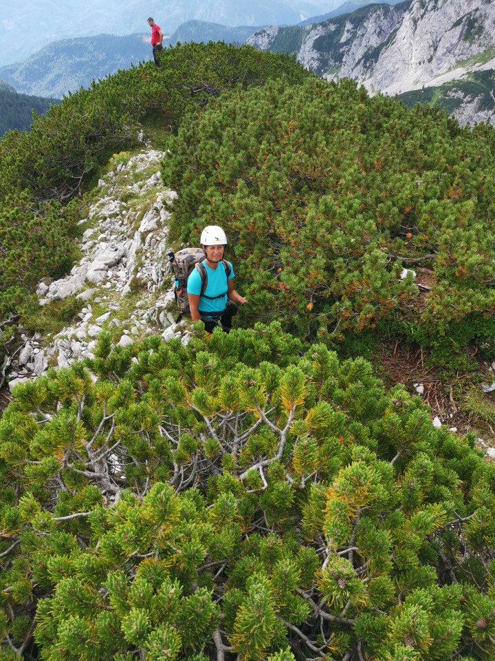 Blato,Stogi,Škednjovec,Hribarice,Špičje-15,8, - foto povečava