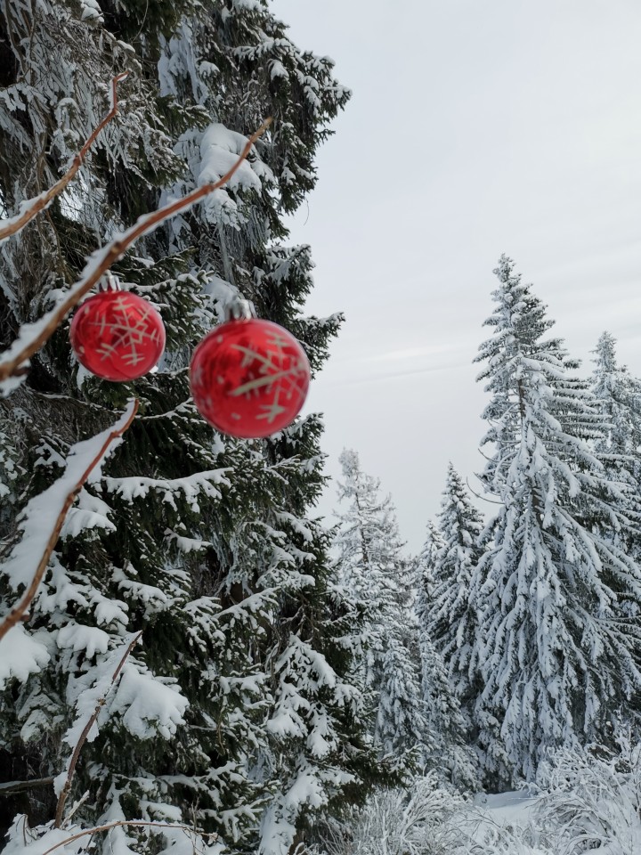 Pohod Sleme-Uršlja gora(1699m)-27.12.2020 - foto povečava