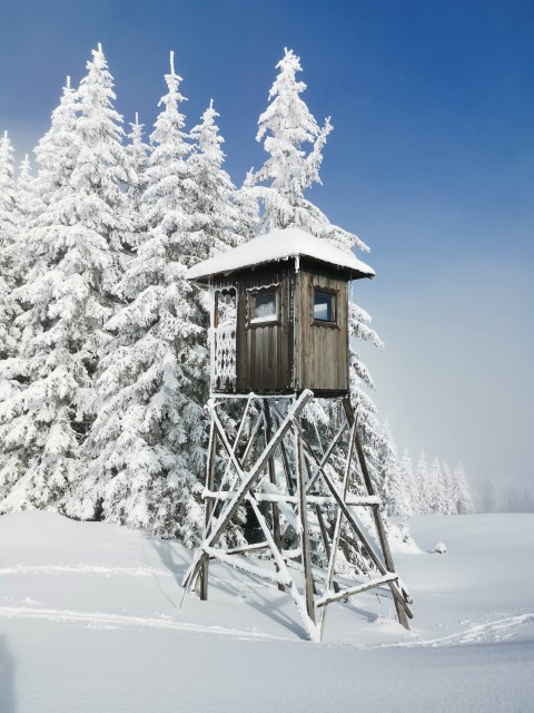 Mozirska koča-Stari Stani-Golte-30.12.2020 - foto