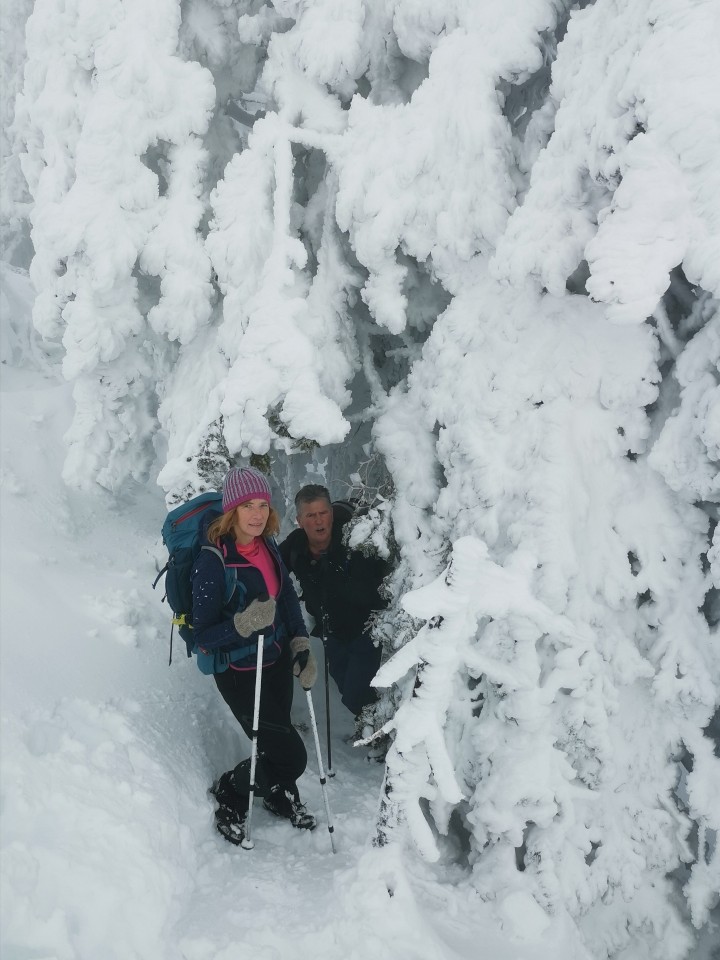 Reberšak-brezpotje-Smrekovec(1577m)-3.1.2021 - foto povečava