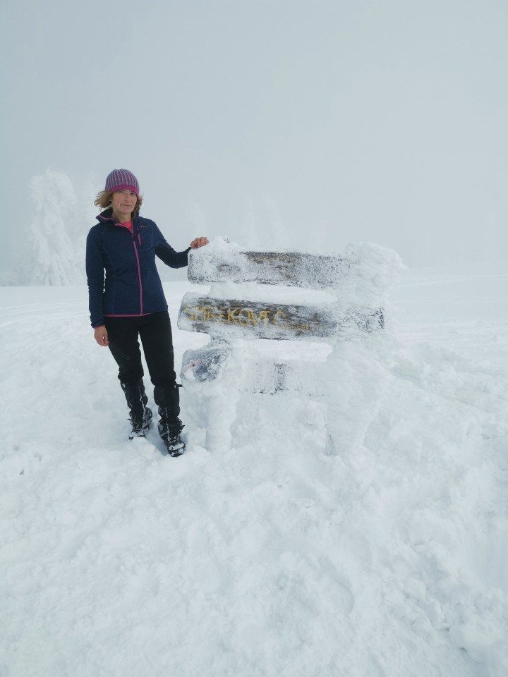 Reberšak-brezpotje-Smrekovec(1577m)-3.1.2021 - foto povečava