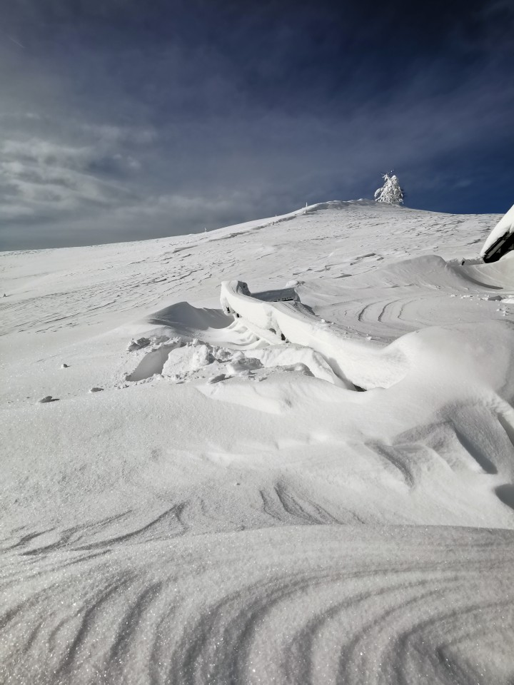 Lipa-Slopi-Planina Biba(1300m)-Slopi-9.1.2021 - foto povečava
