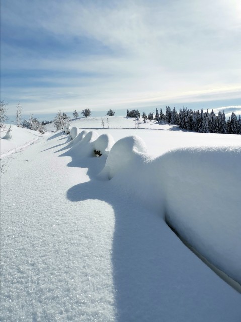 Lipa-Slopi-Planina Biba(1300m)-Slopi-9.1.2021 - foto