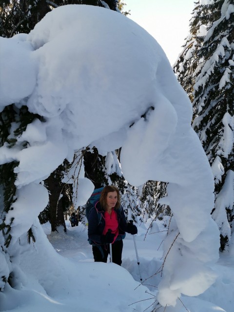 Mitnek-Dom na Peci-Kordeževa glava-13.1.2021 - foto