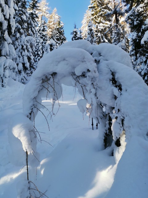 Mitnek-Dom na Peci-Kordeževa glava-13.1.2021 - foto