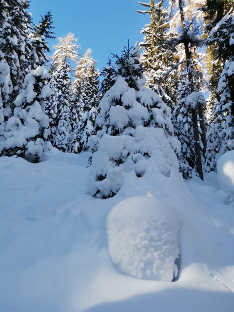 Mitnek-Dom na Peci-Kordeževa glava-13.1.2021 - foto