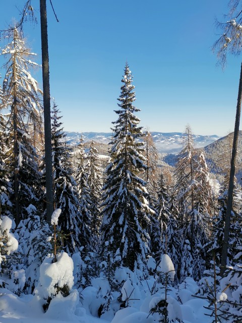 Mitnek-Dom na Peci-Kordeževa glava-13.1.2021 - foto