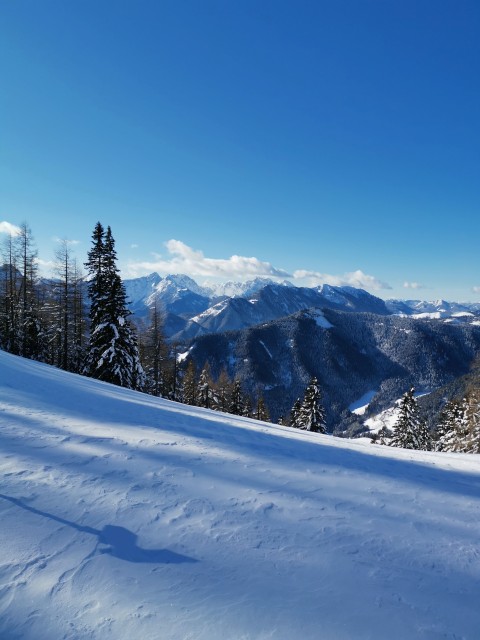 Mitnek-Dom na Peci-Kordeževa glava-13.1.2021 - foto