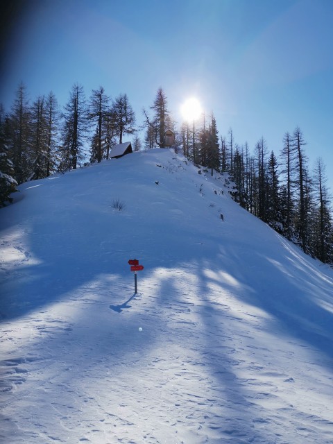 Mitnek-Dom na Peci-Kordeževa glava-13.1.2021 - foto