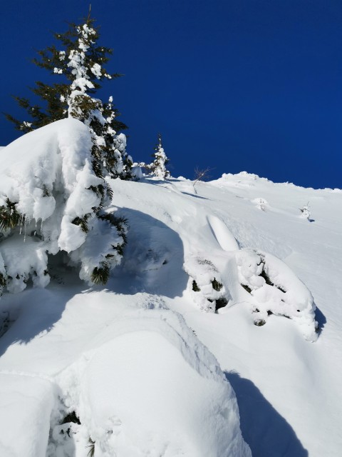 Mitnek-Dom na Peci-Kordeževa glava-13.1.2021 - foto