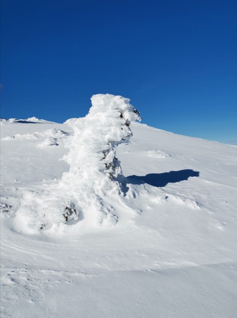 Mitnek-Dom na Peci-Kordeževa glava-13.1.2021 - foto