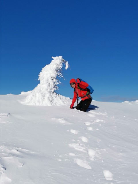 Mitnek-Dom na Peci-Kordeževa glava-13.1.2021 - foto