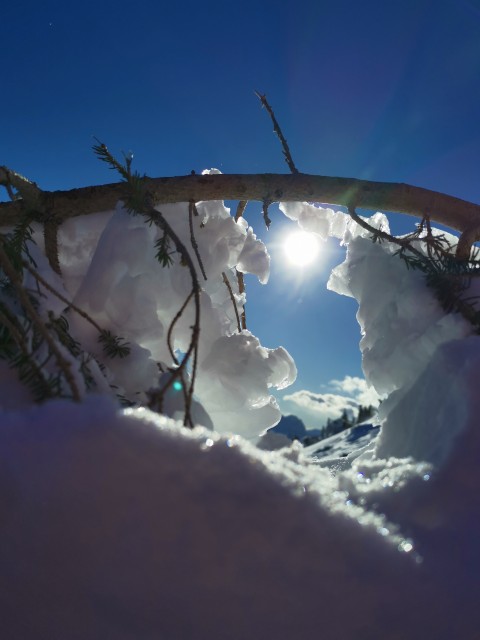 Mitnek-Dom na Peci-Kordeževa glava-13.1.2021 - foto