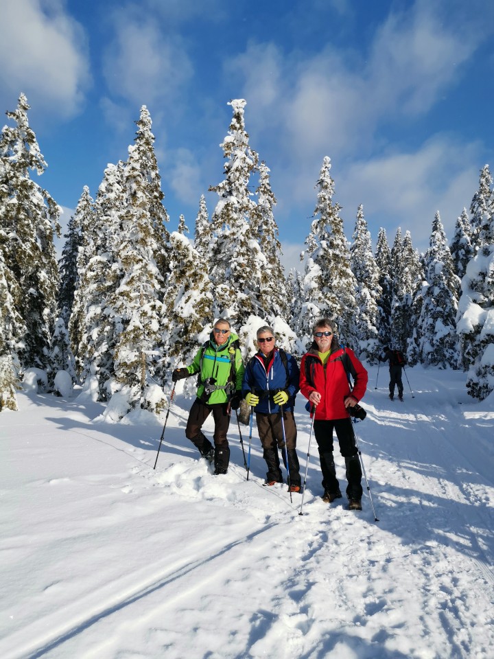 Rogla-Lovrenška jezera-Pesek-16.1.2021 - foto povečava