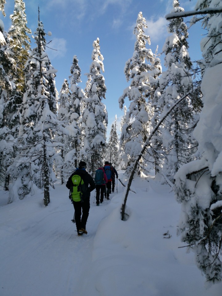 Rogla-Lovrenška jezera-Pesek-16.1.2021 - foto povečava