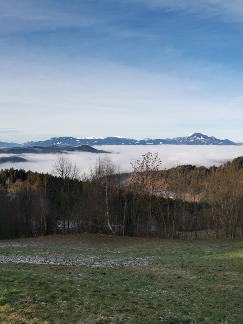 Mislinja-Ribniška k.-Črni vrh-Kope-30.1.2021 - foto