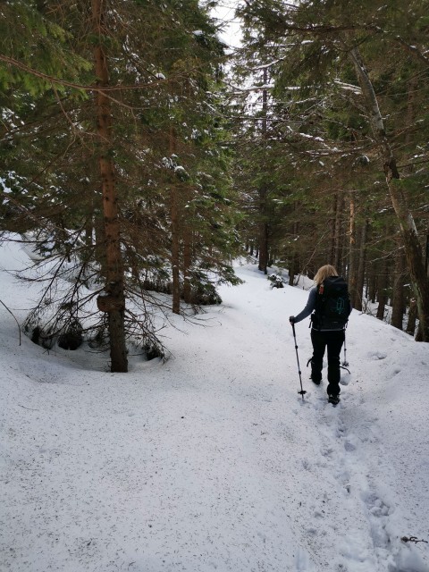 Mislinja-Ribniška k.-Črni vrh-Kope-30.1.2021 - foto