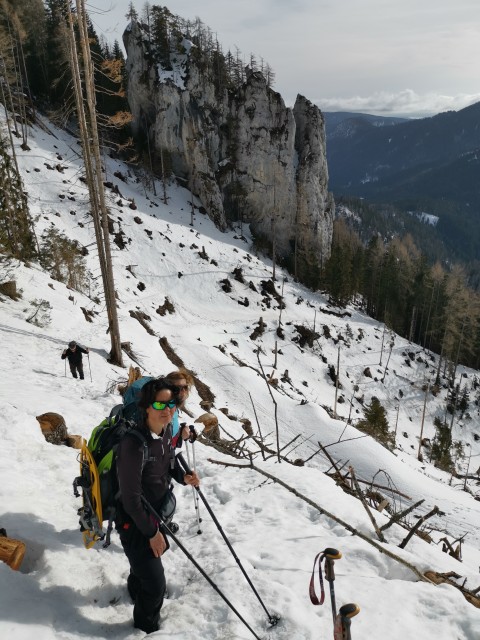 Sp.Sleme-Lepi vrh-Goli vrh-Olševa-6.2.2021 - foto