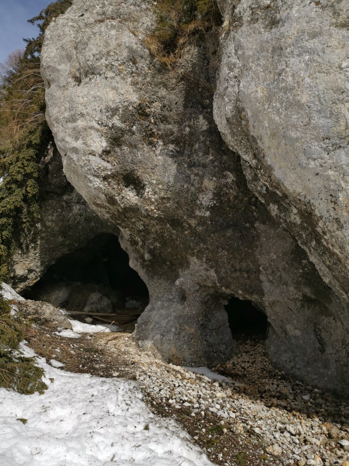 Sp.Sleme-Lepi vrh-Goli vrh-Olševa-6.2.2021 - foto povečava