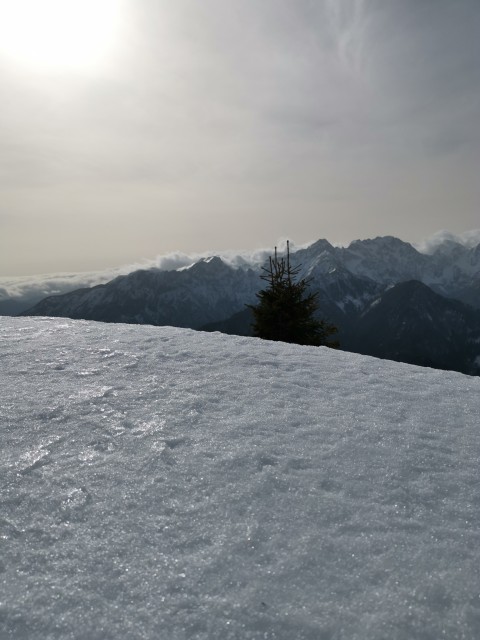 Sp.Sleme-Lepi vrh-Goli vrh-Olševa-6.2.2021 - foto