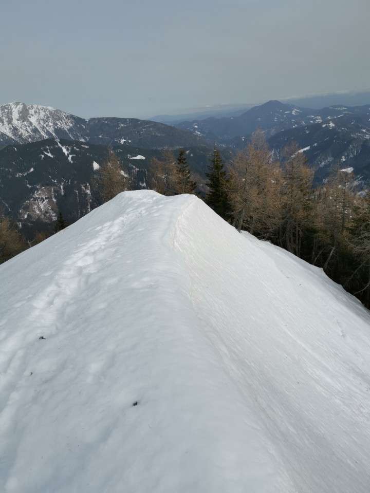 Sp.Sleme-Lepi vrh-Goli vrh-Olševa-6.2.2021 - foto povečava