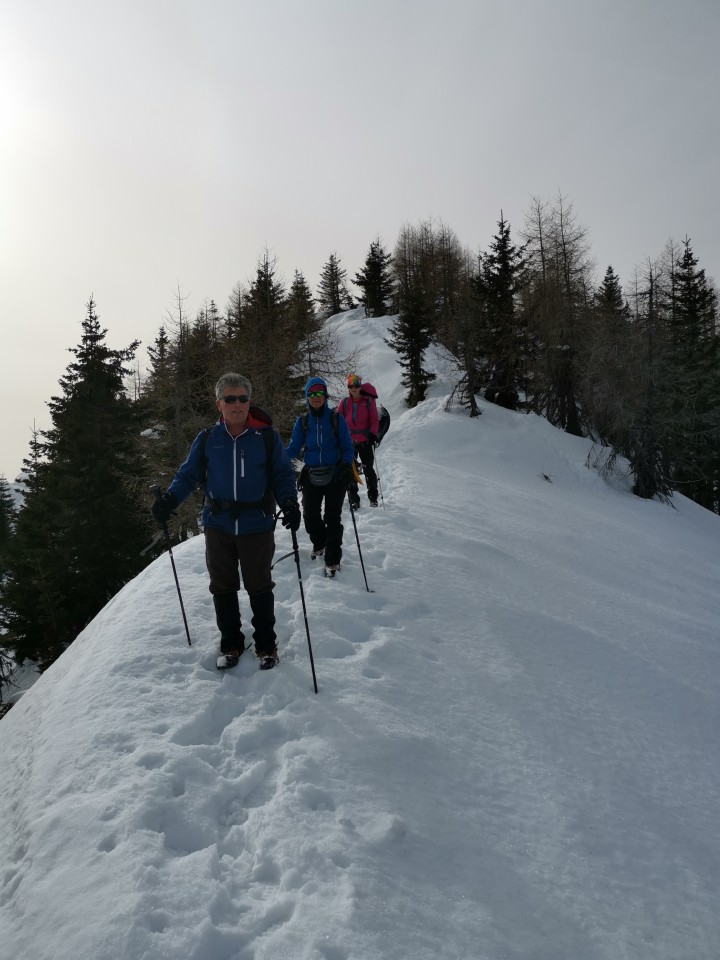 Sp.Sleme-Lepi vrh-Goli vrh-Olševa-6.2.2021 - foto povečava