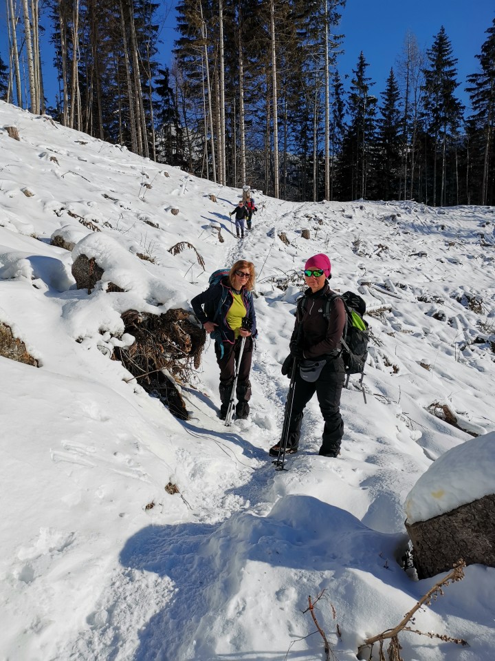 Radušnik-Koča na Loki-Raduha-14.2.2021 - foto povečava